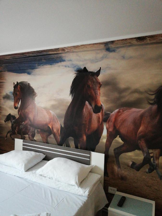 Hotel Hobby Hunedoara Dış mekan fotoğraf